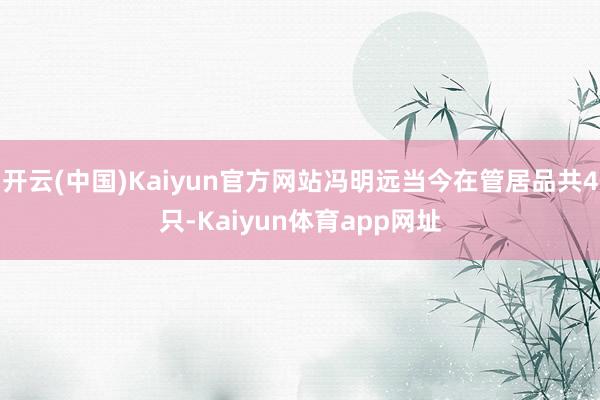 开云(中国)Kaiyun官方网站冯明远当今在管居品共4只-Kaiyun体育app网址