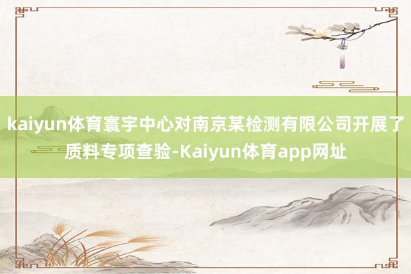 kaiyun体育寰宇中心对南京某检测有限公司开展了质料专项查验-Kaiyun体育app网址