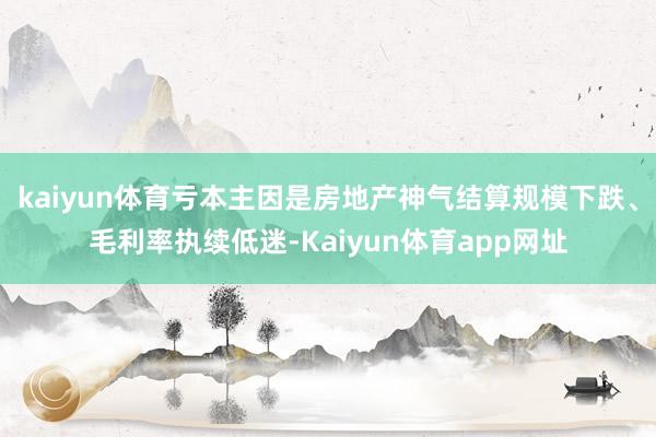kaiyun体育亏本主因是房地产神气结算规模下跌、毛利率执续低迷-Kaiyun体育app网址
