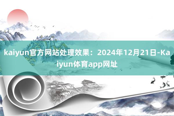 kaiyun官方网站处理效果：2024年12月21日-Kaiyun体育app网址
